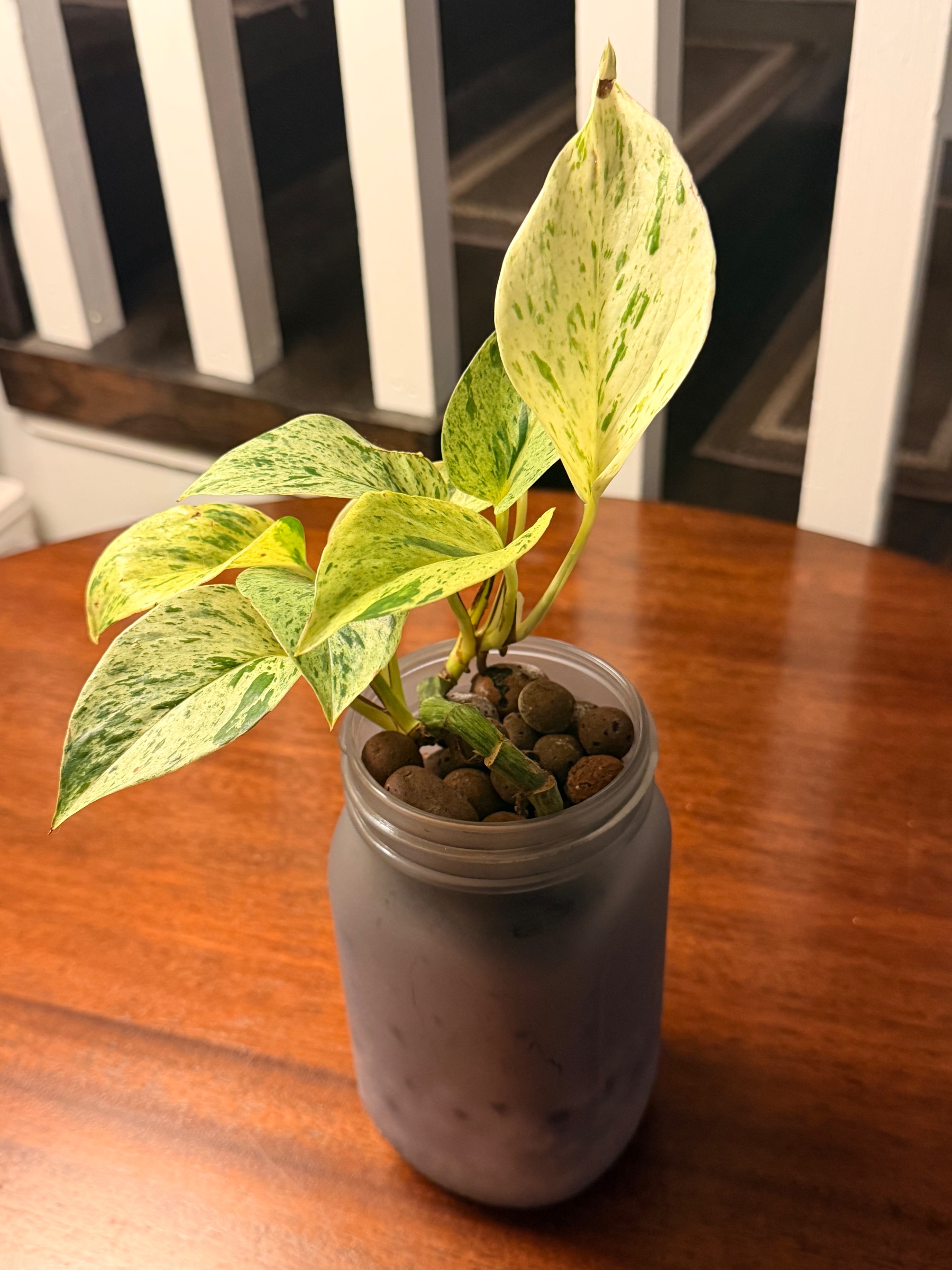 The Queen’s Nightcap — Overview (3 of 6)